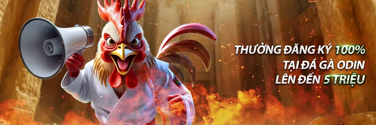 Hình ảnh minh họa Tuân thủ GDPR của M88, bảo vệ dữ liệu và quyền riêng tư người dùng trong cá cược bóng đá